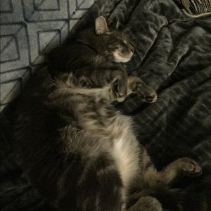 Meet your Posher, Tanya